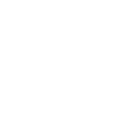Icon xing